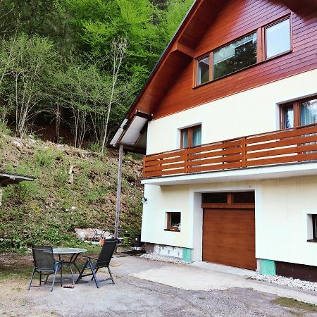 Seeblick Krippenstein Obertraun Extérieur photo