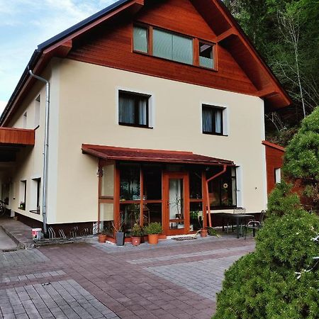 Seeblick Krippenstein Obertraun Extérieur photo