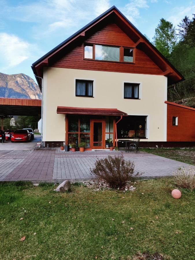 Seeblick Krippenstein Obertraun Extérieur photo