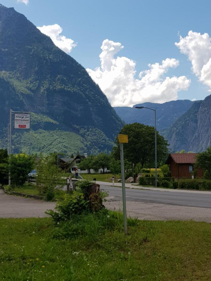 Seeblick Krippenstein Obertraun Extérieur photo